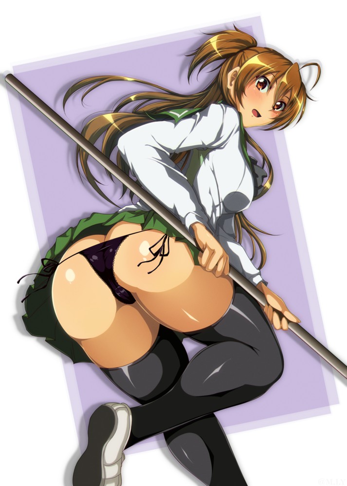 Rei Miyamoto Highschool of the Dead Hentai culotte