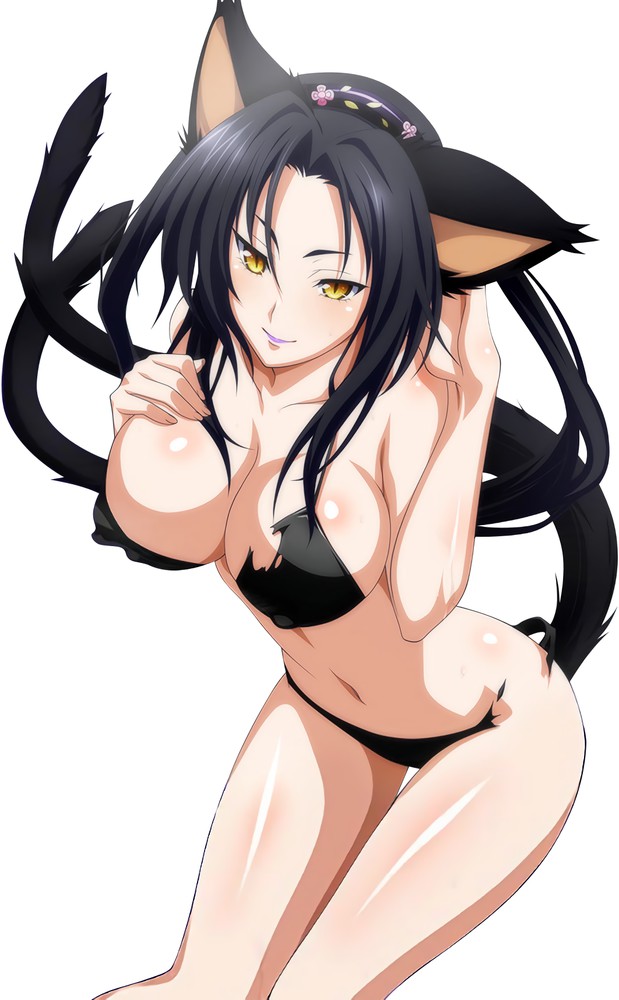 Kuroka Toujou High School DxD Hentai 26