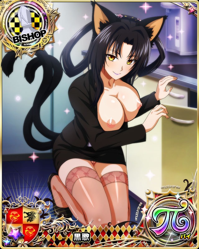 Kuroka Toujou High School DxD Hentai 35