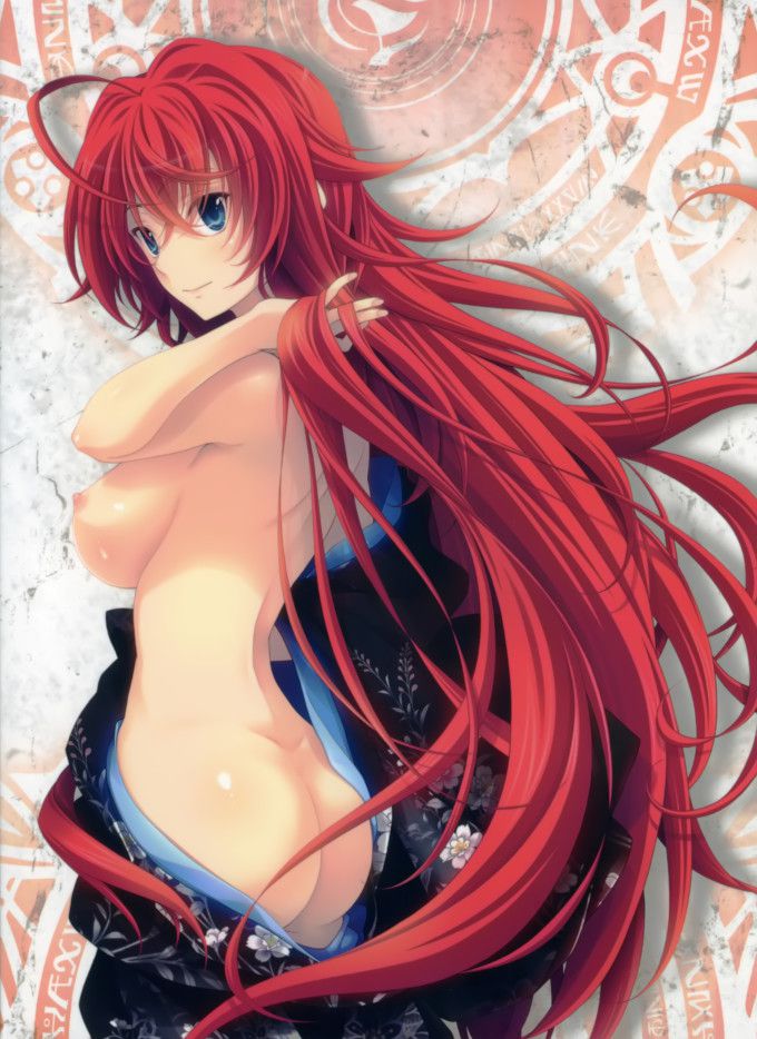 Rias Gremory High School DxD Hentai 20221210 143641 1176