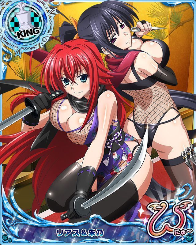 Rias Gremory High School DxD Hentai 20221210 143641 224