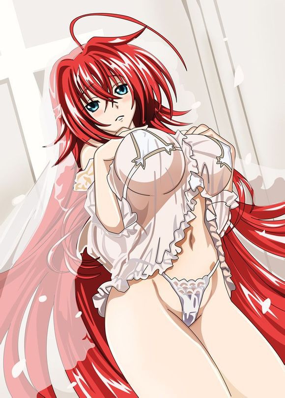 Rias Gremory High School DxD Hentai 20221210 143641 585