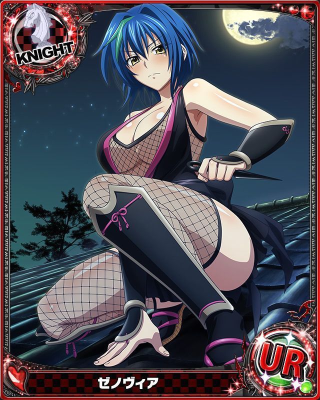 Xenovia Quarta High School DxD Hentai 20221210 153554 19